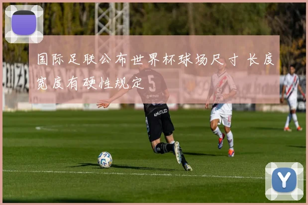 国际足联公布世界杯球场尺寸 长度宽度有硬性规定