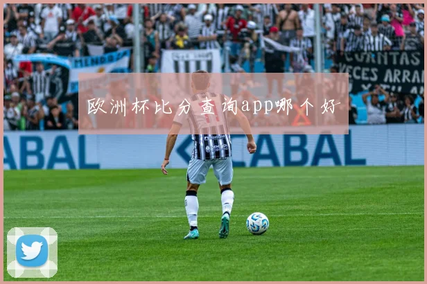 欧洲杯比分查询app哪个好