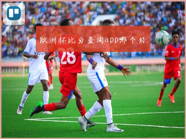 欧洲杯比分查询app哪个好